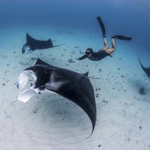Private-Boat at Manta Point album